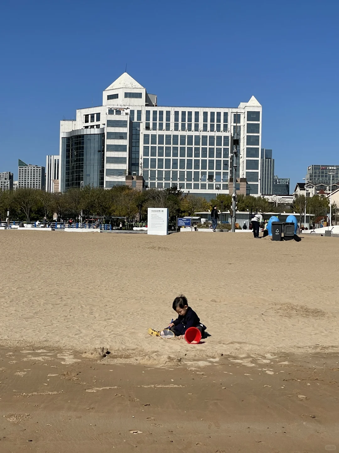 秋天的青岛 你简直美到犯规 带娃必冲