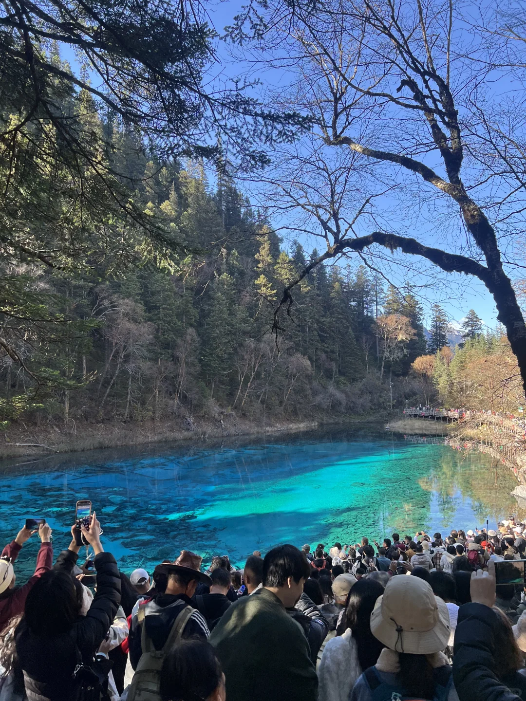 11.4九寨沟很美 但此生不会再去第二次🍂