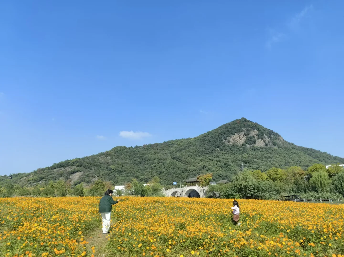 #湖南退休人深度玩杭州#撞进湘湖秋色里