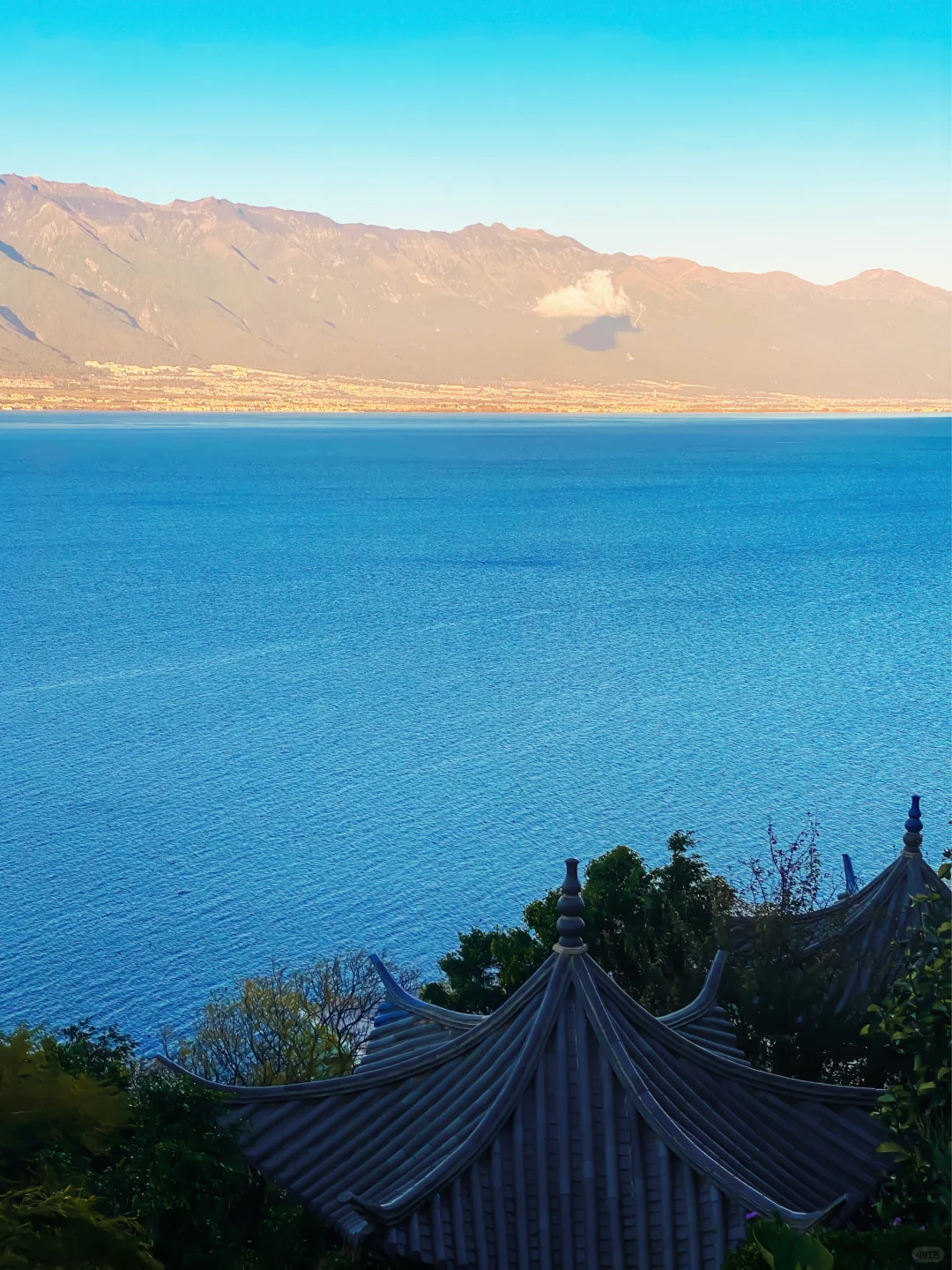 求求了，来大理住我家，十一月淡季太难了