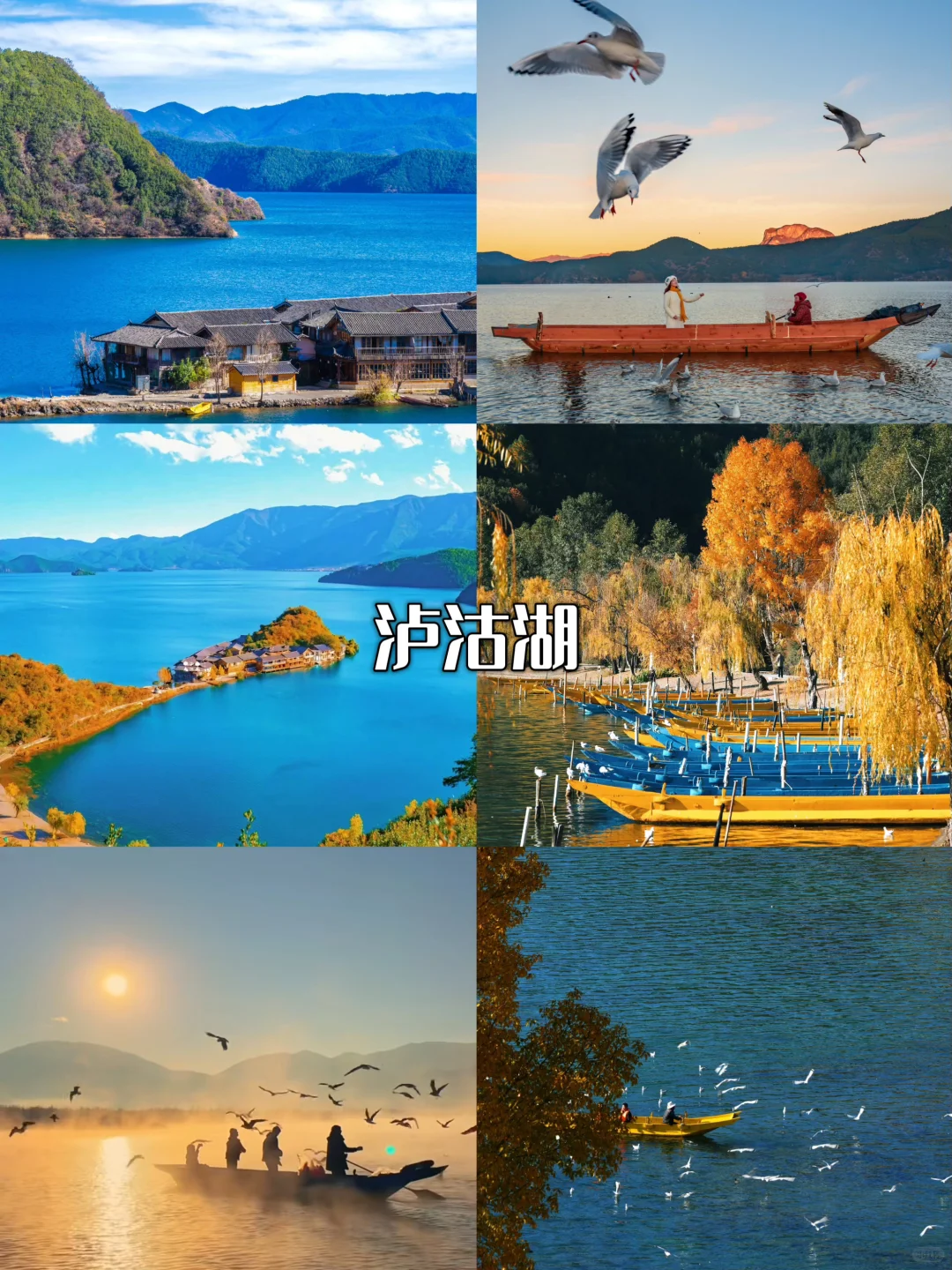 11月云南保姆级攻略🌾｜解锁秋冬神仙美景