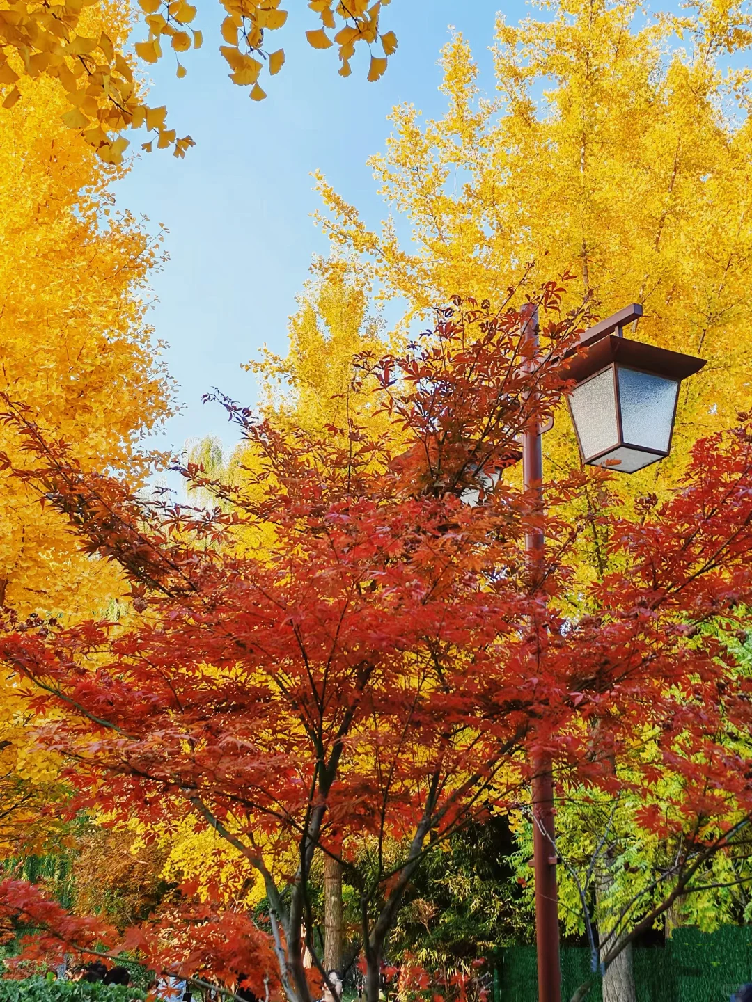 保定赏秋地图｜5个绝美打卡地