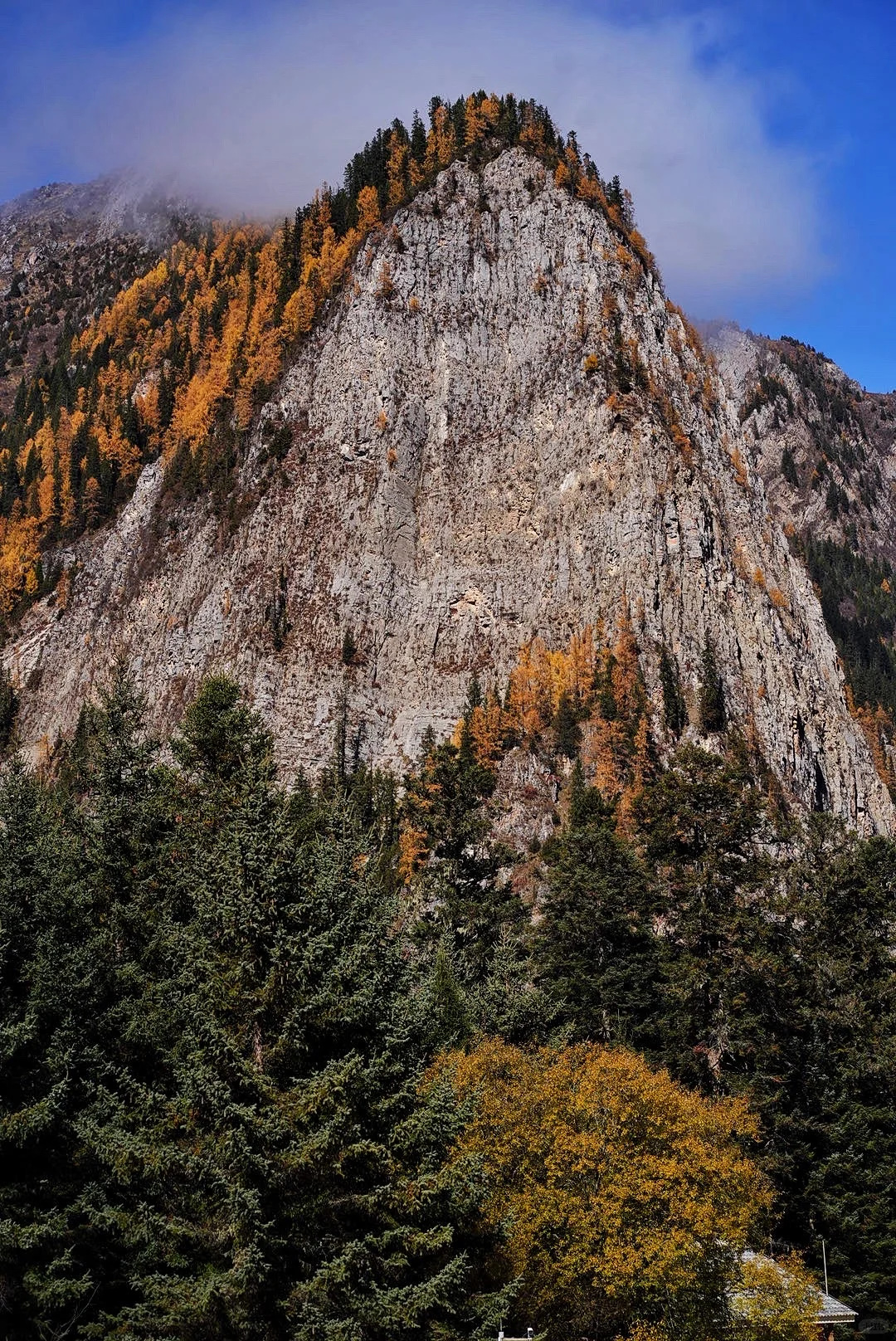 其实玩好九寨沟的精髓是松弛