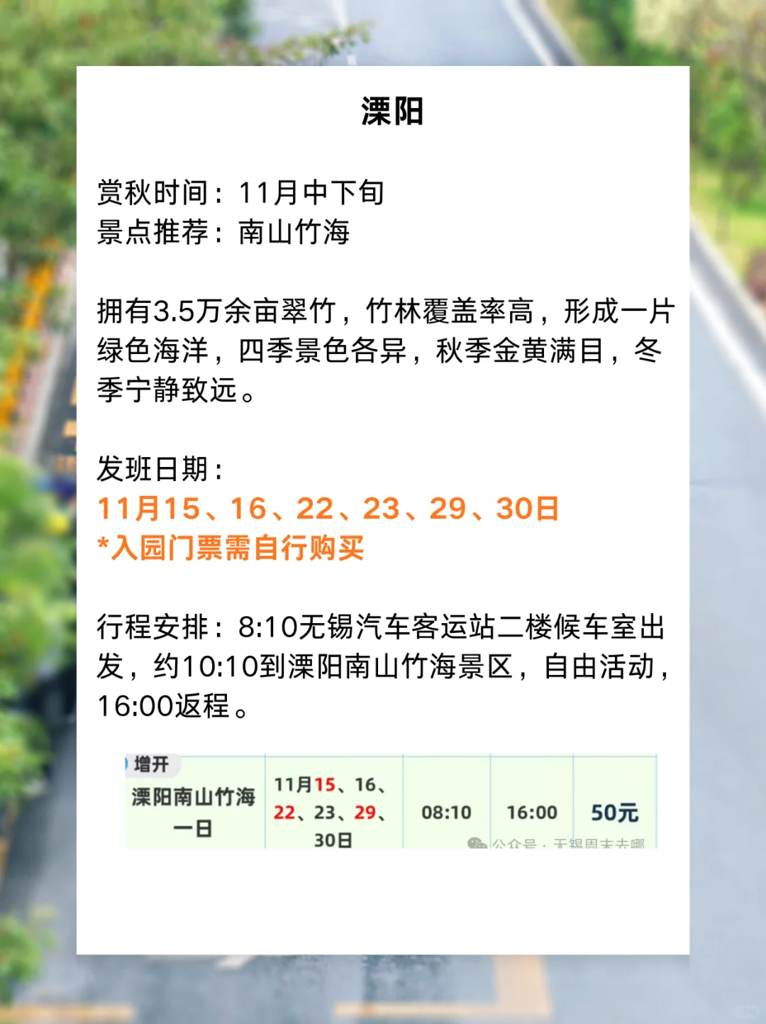 11月景区直通车来啦✨