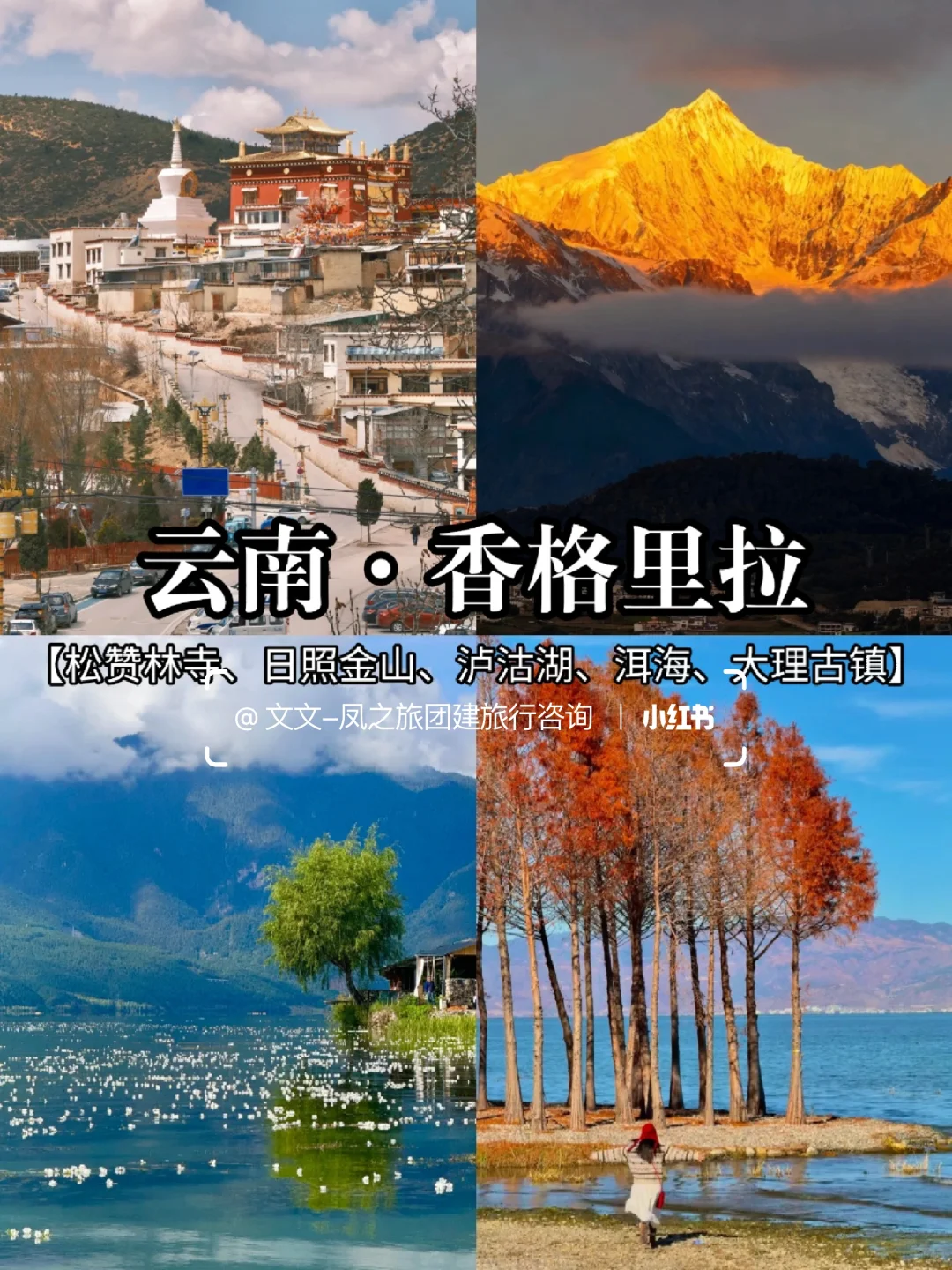 秋冬日限定版🍁10-12月国内赏秋地推荐