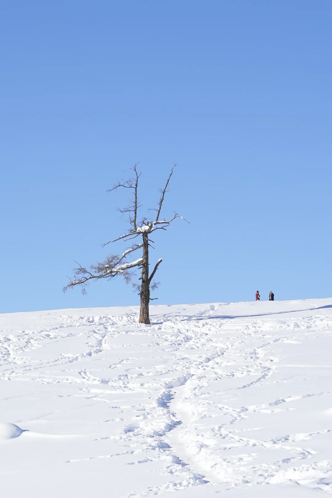 一个人勇闯阿勒泰❄️7天6夜花了不到4000r
