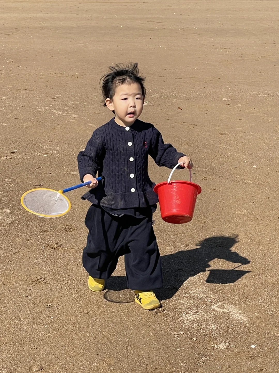 秋天的青岛 你简直美到犯规 带娃必冲