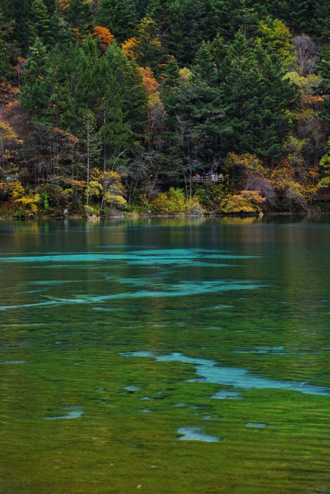 其实玩好九寨沟的精髓是松弛