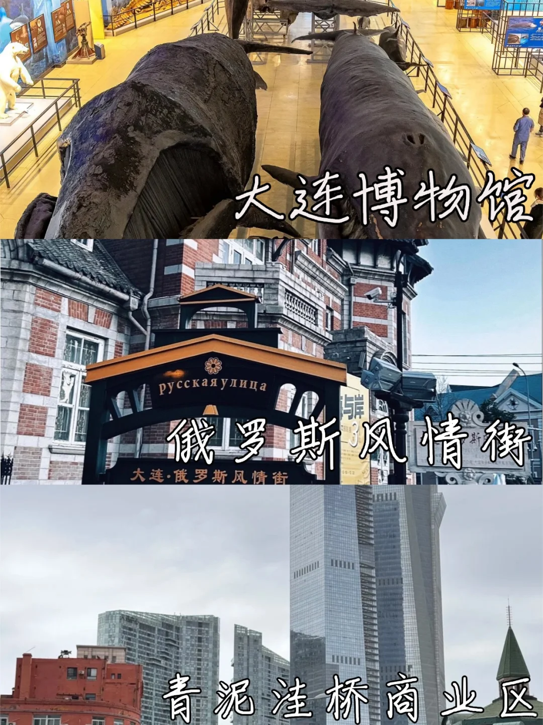 大连旅游攻略丨大连必打卡的10个景点