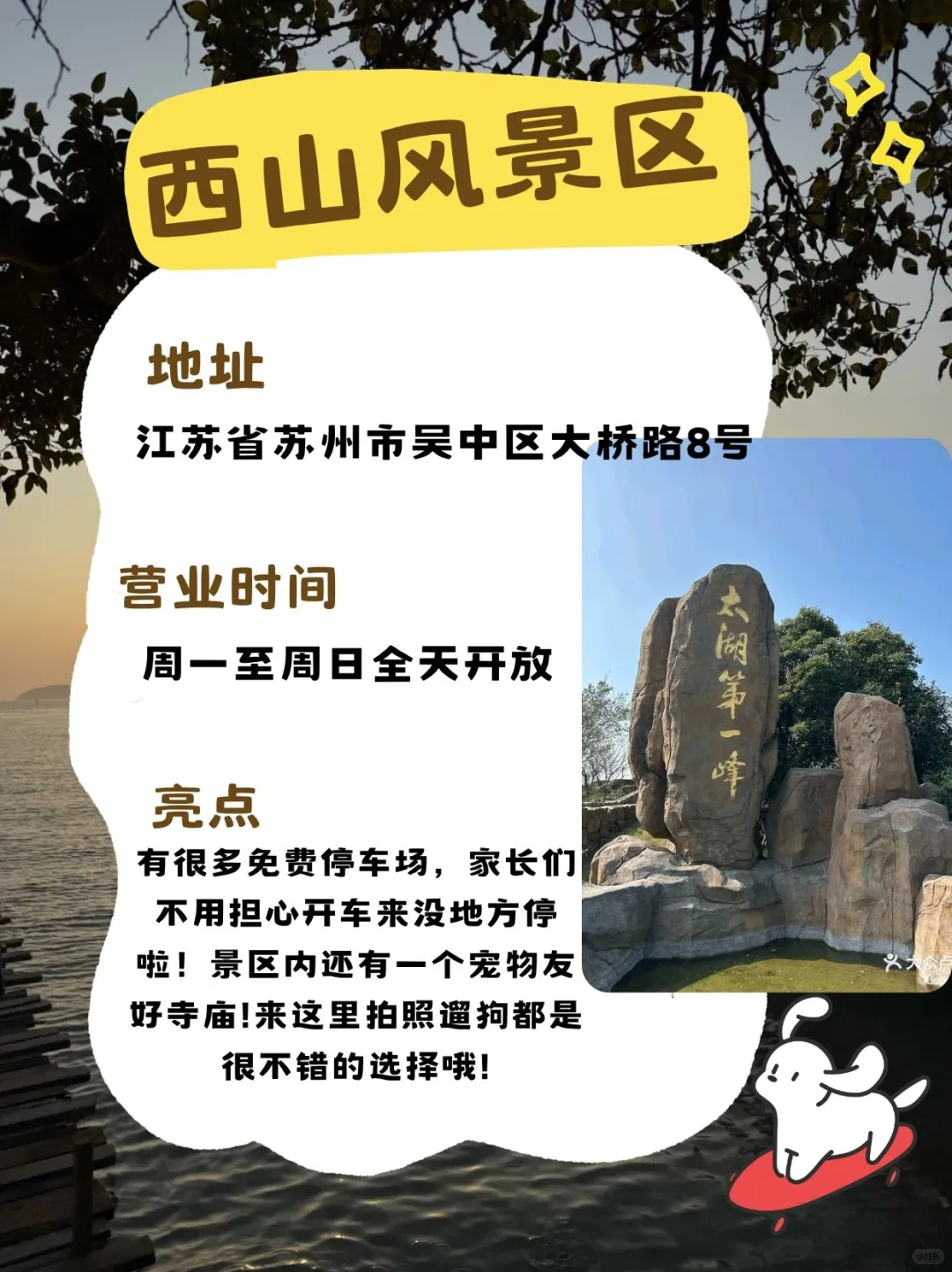 苏州宠物友好景区合集!11月带毛孩子去玩