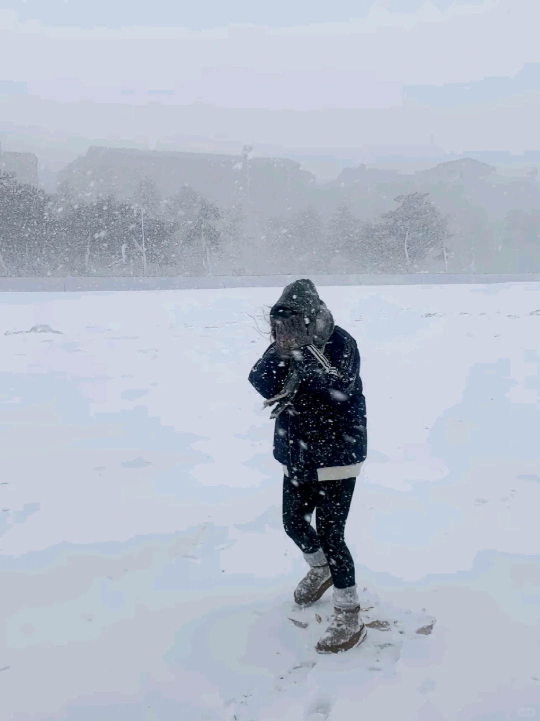 别着急，威海下雪挨个踢你们！此贴为证！