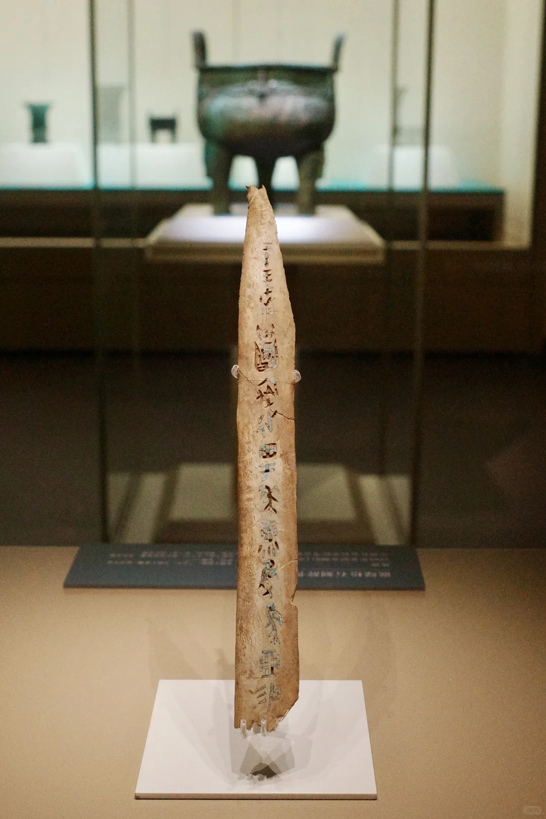 殷墟，和想象中不太一样