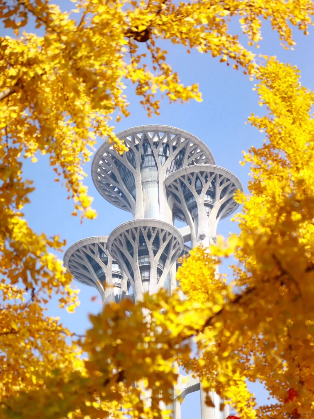 原地封神！婺源秋日双绝，晒秋叠红叶美到词穷