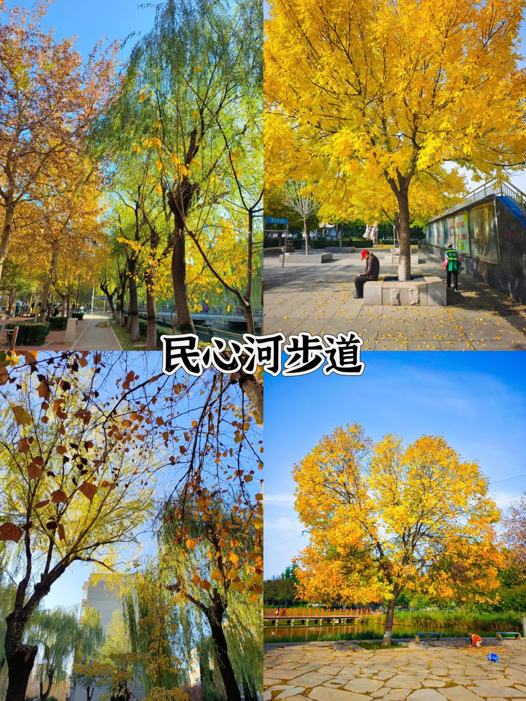 石家庄秋日逛吃一日游攻略！