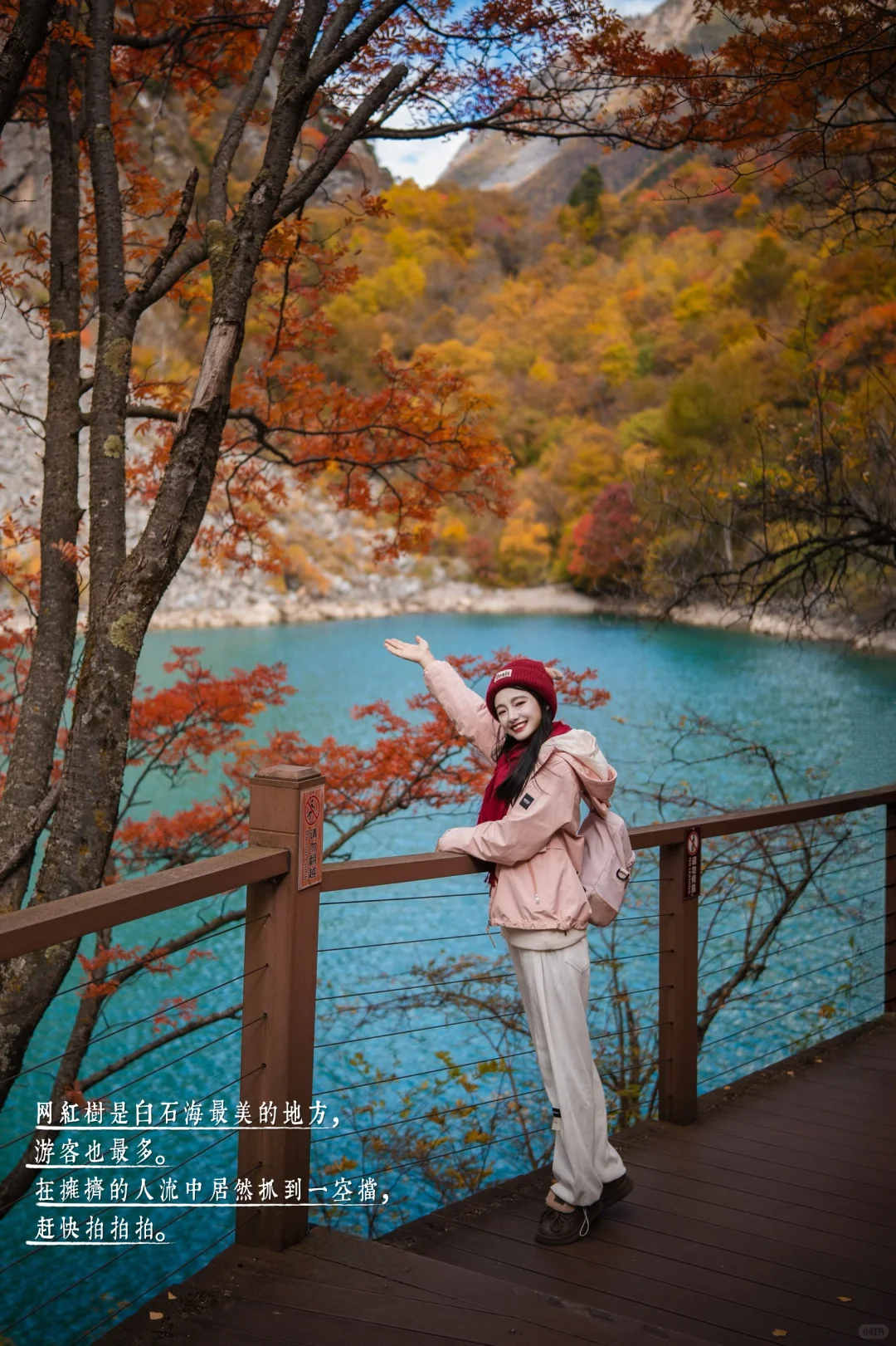 11月必冲❗️松坪沟彩林杀疯了🍂错过等一年