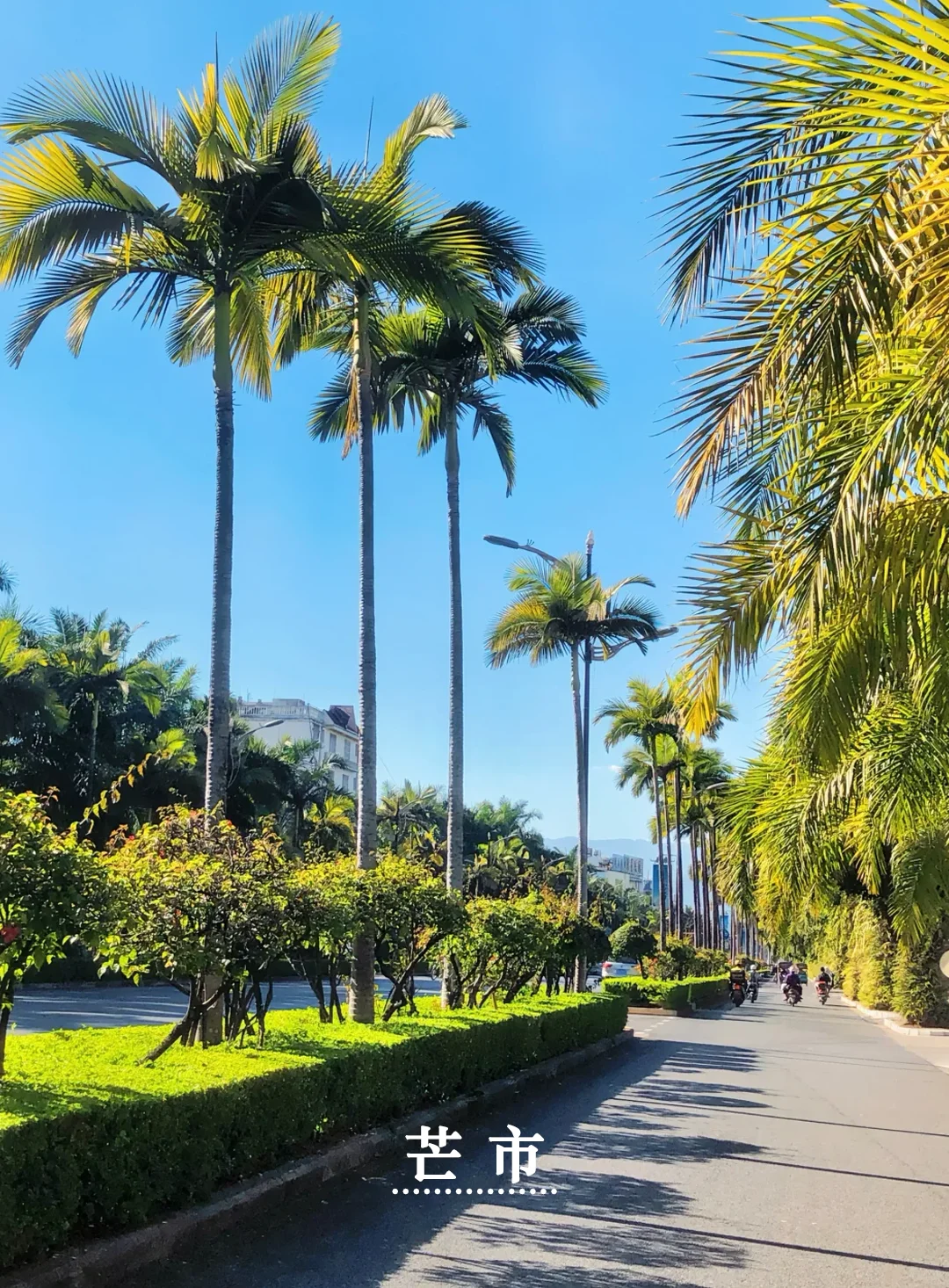 没早点刷到❗来云南跟团|轻奢纯玩🔥强推