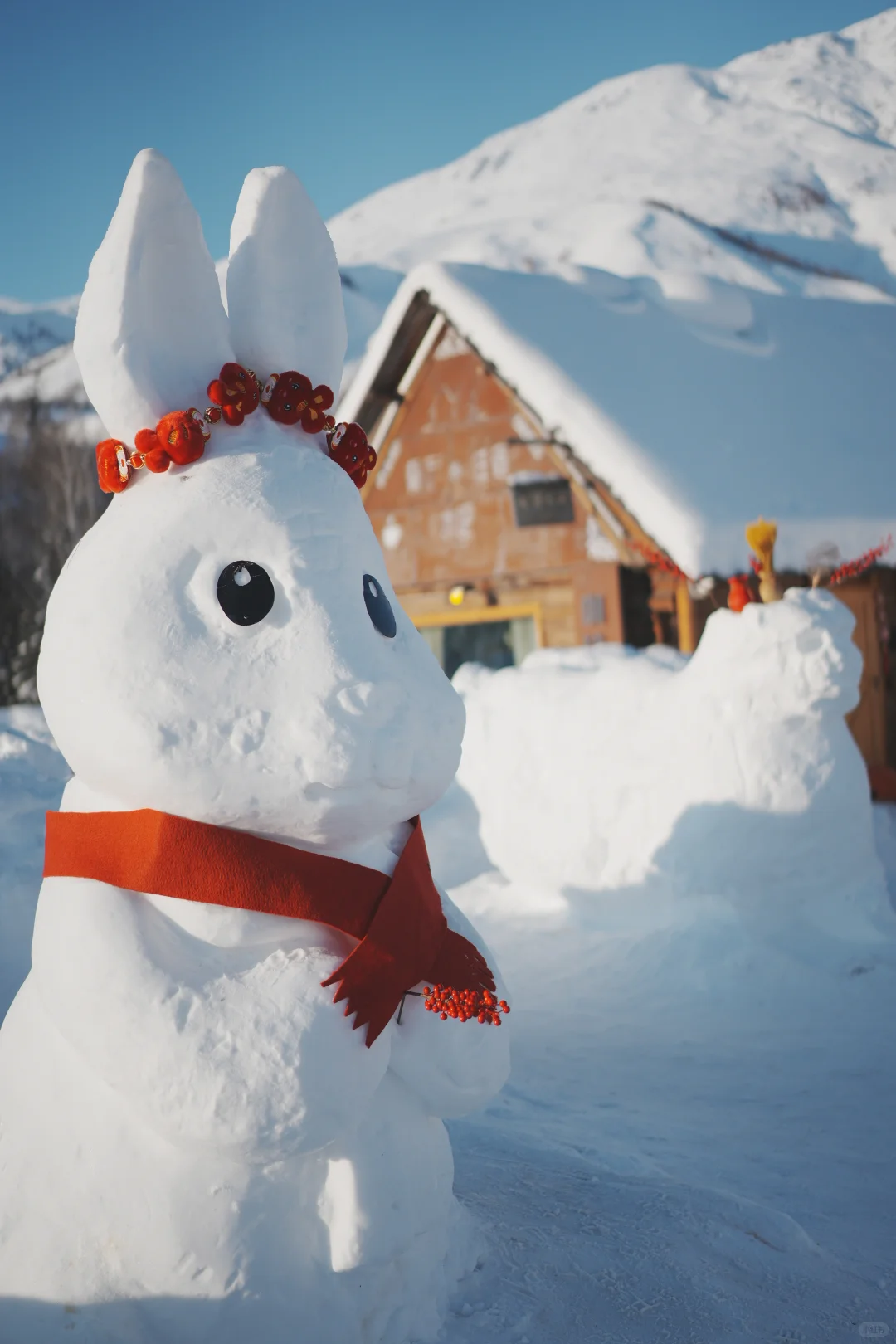 一个人勇闯阿勒泰❄️7天6夜花了不到4000r
