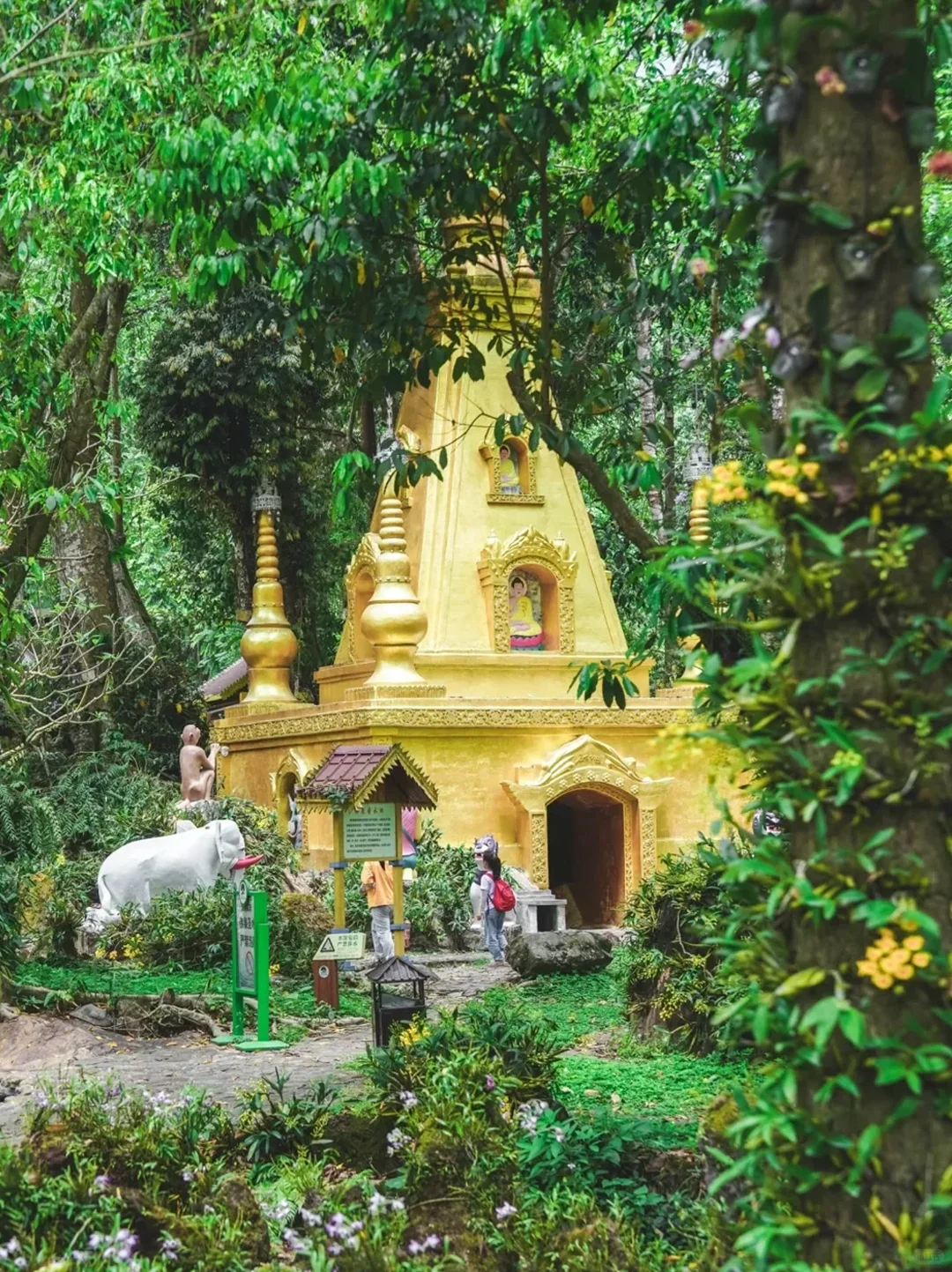 10.14📍腾冲🌋已回 景点游玩全攻略🗿