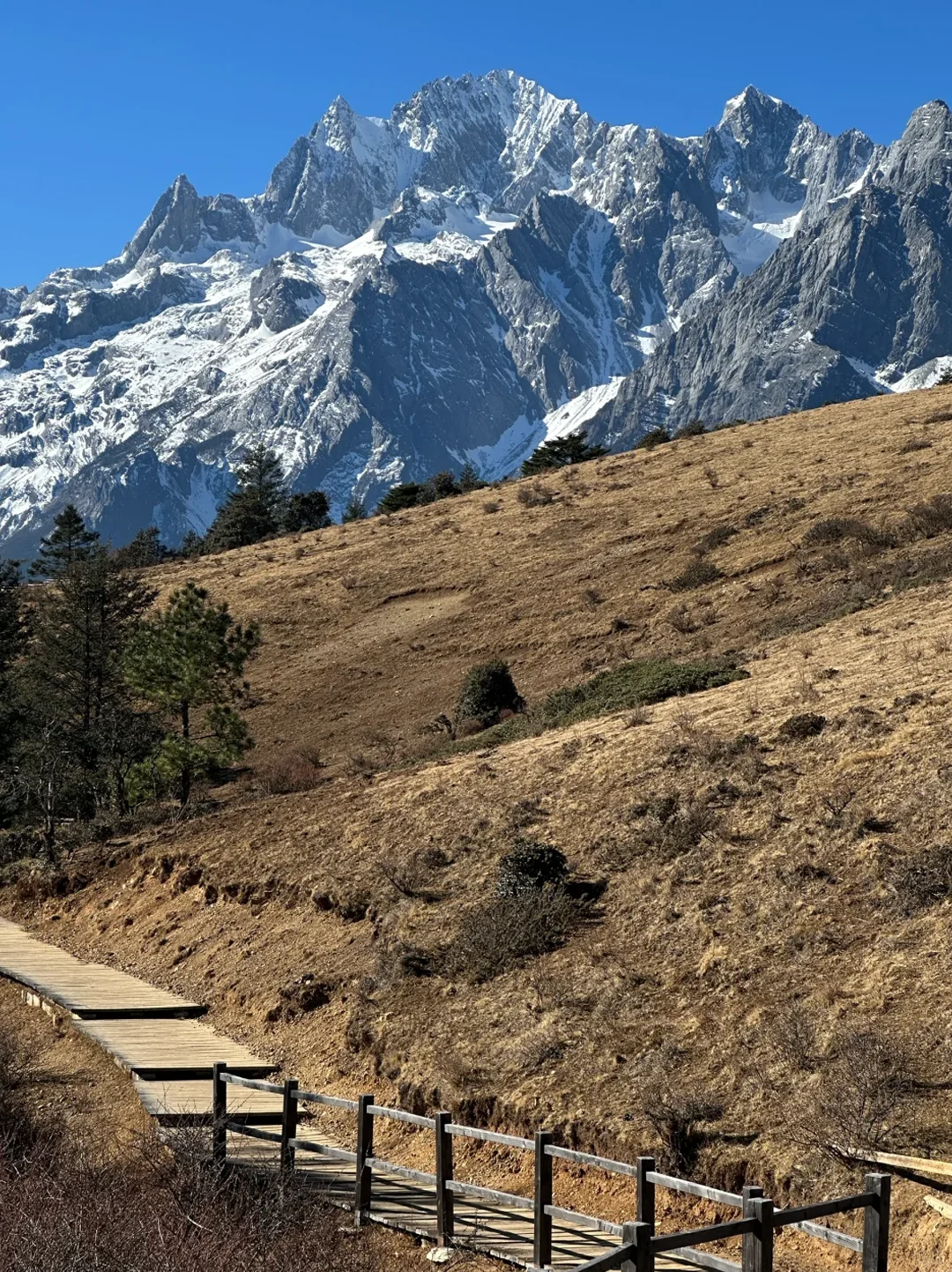 玉龙雪山一日错峰攻略｜4大景点干货合集