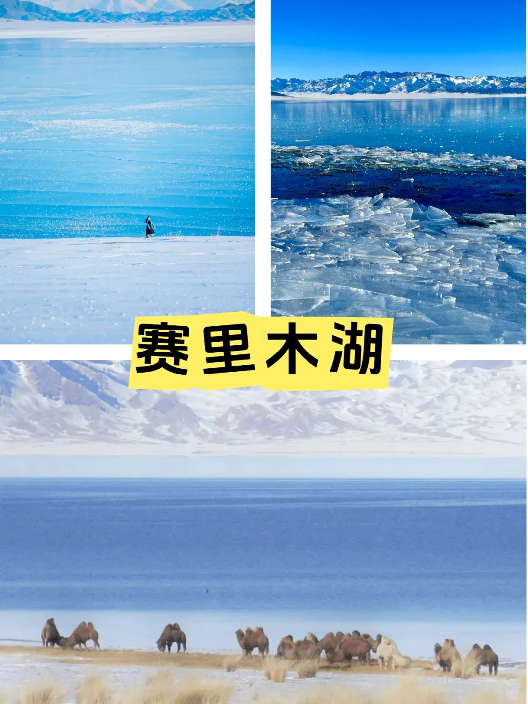 新疆阿勒泰旅游8天环线+必玩清单📌直接抄