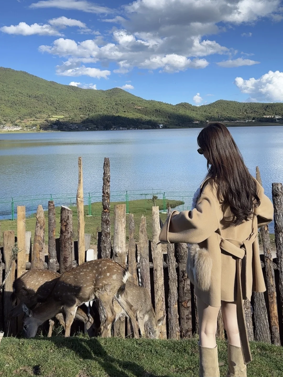 那里的冬天美得不像话🍂