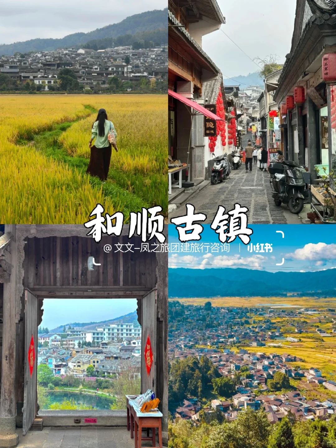 云南腾冲丨国内最美银杏古村,秋日童话世界