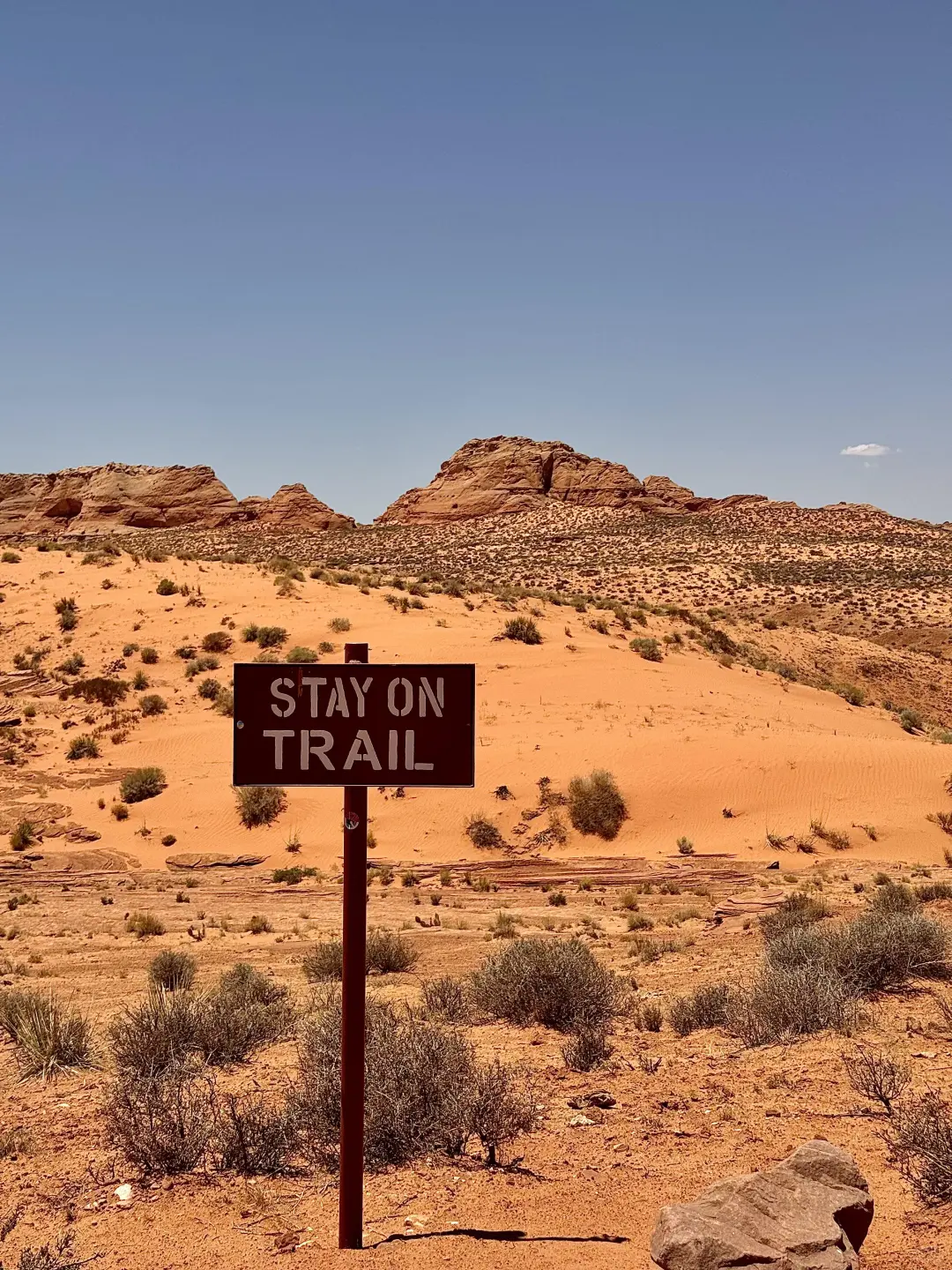 感恩节玩透美西❓这条小众环线戒掉自驾瘾