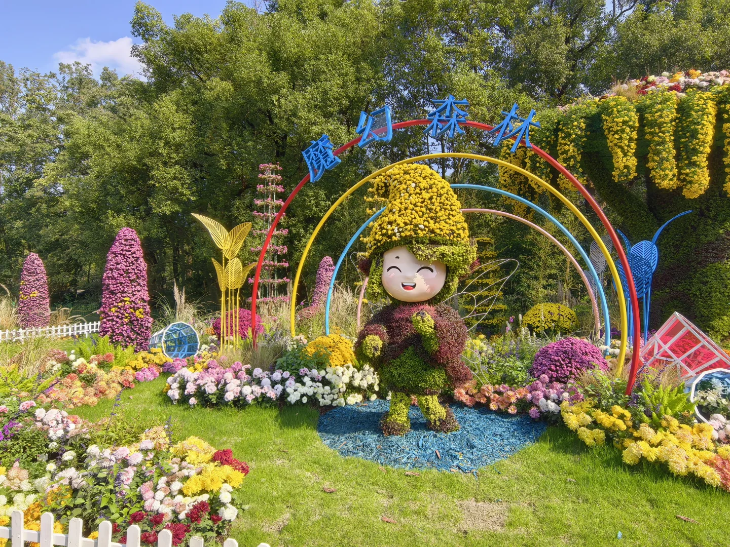 共青森林公园菊花展赏玩全攻略