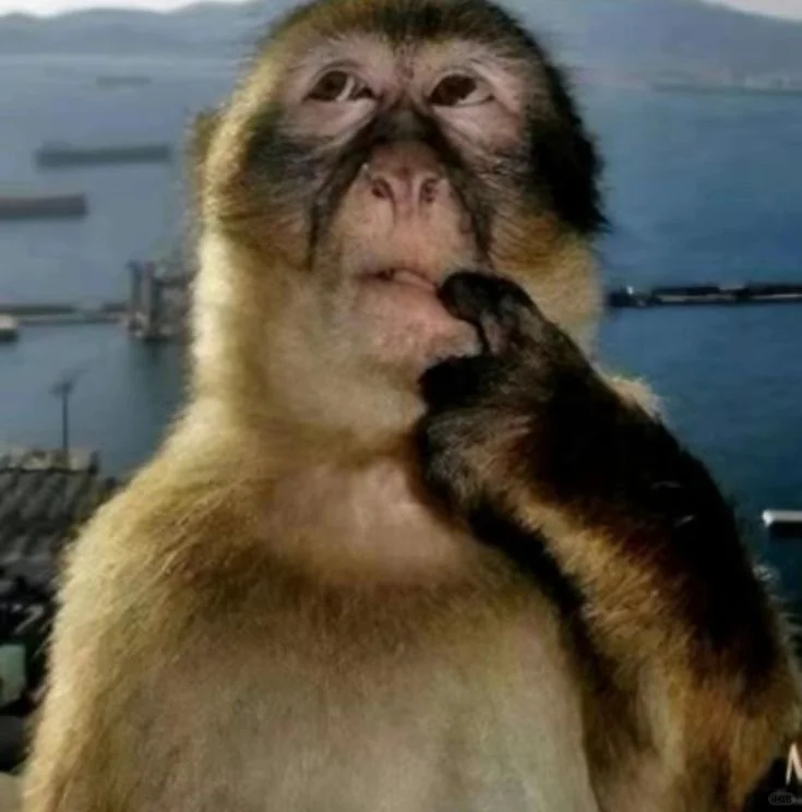 日韩旅游的时候用英文就能看出他们多媚美