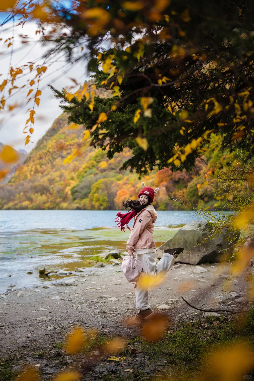11月必冲❗️松坪沟彩林杀疯了🍂错过等一年
