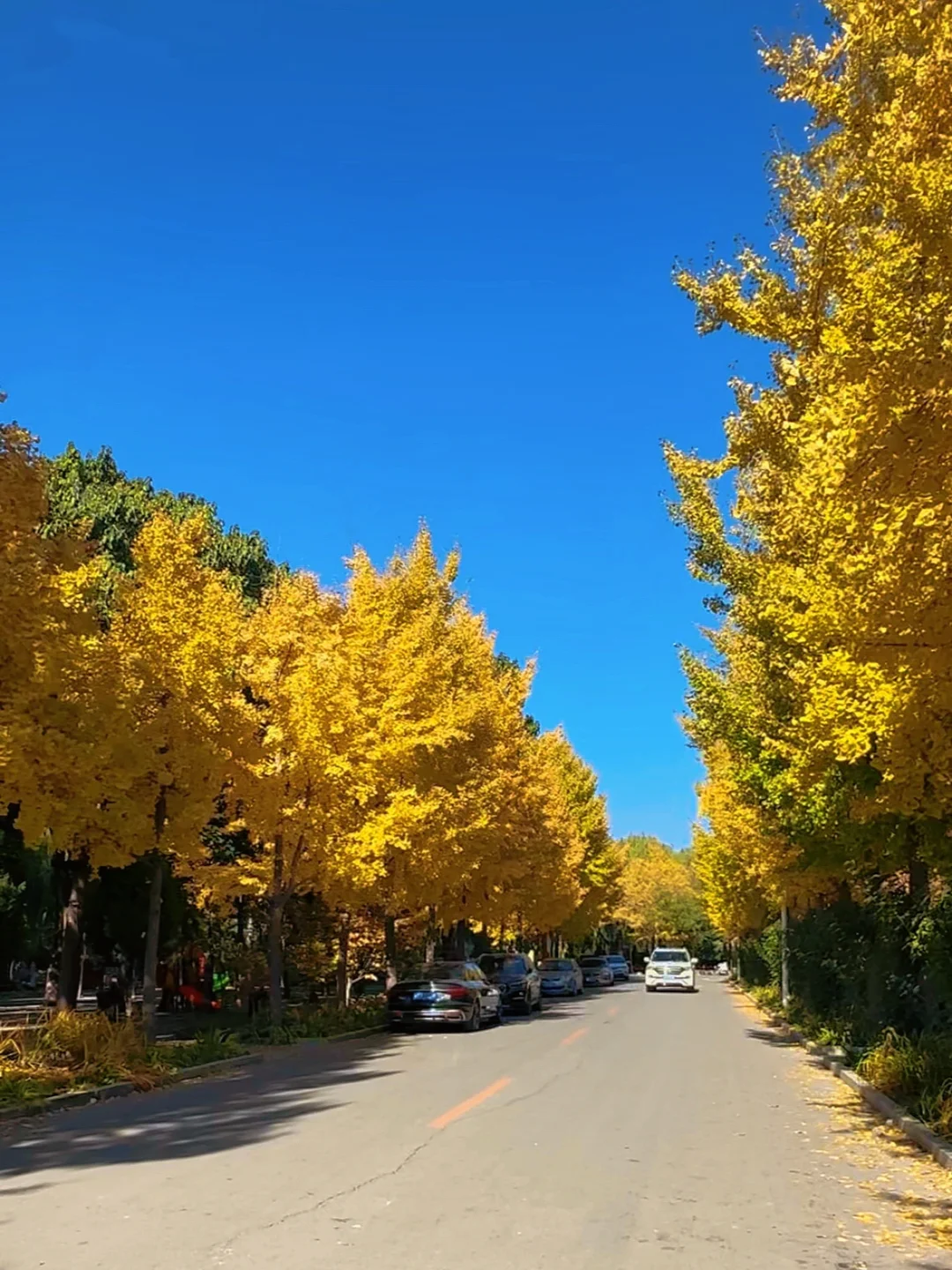 保定赏秋地图｜5个绝美打卡地