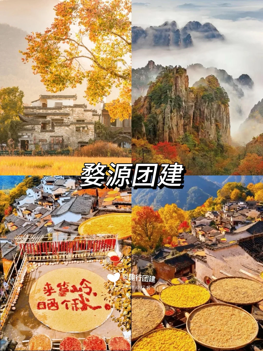 团建比冲‼️国内热门团建❣️能有多好玩？