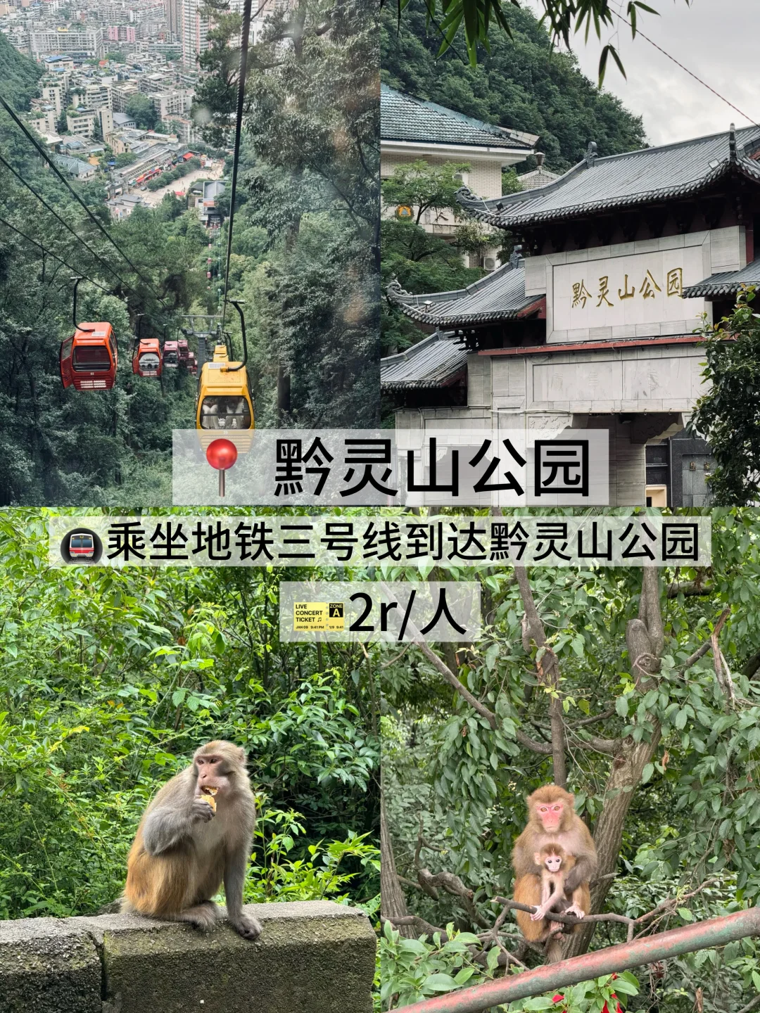 05女大/📍贵阳两天一夜旅游攻略