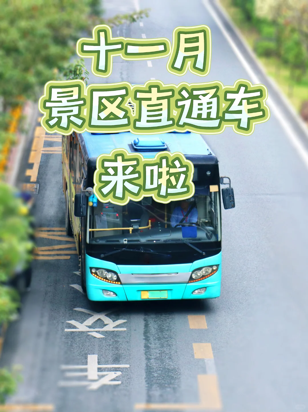11月景区直通车来啦✨