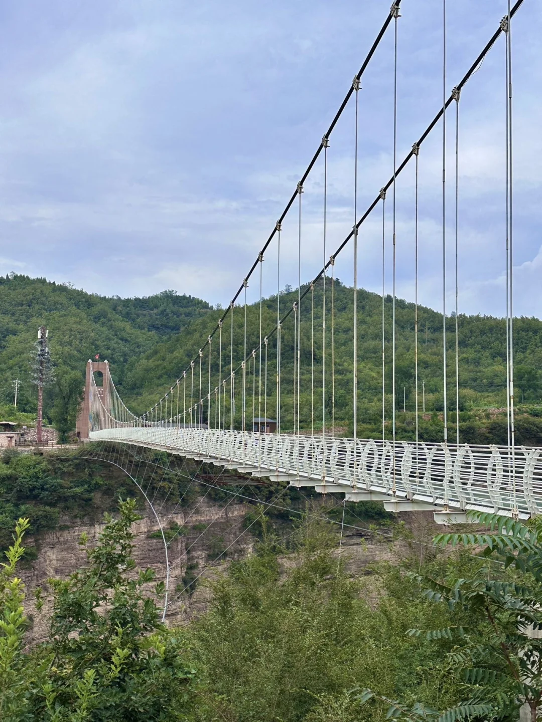 放轻松 森呼吸🍃