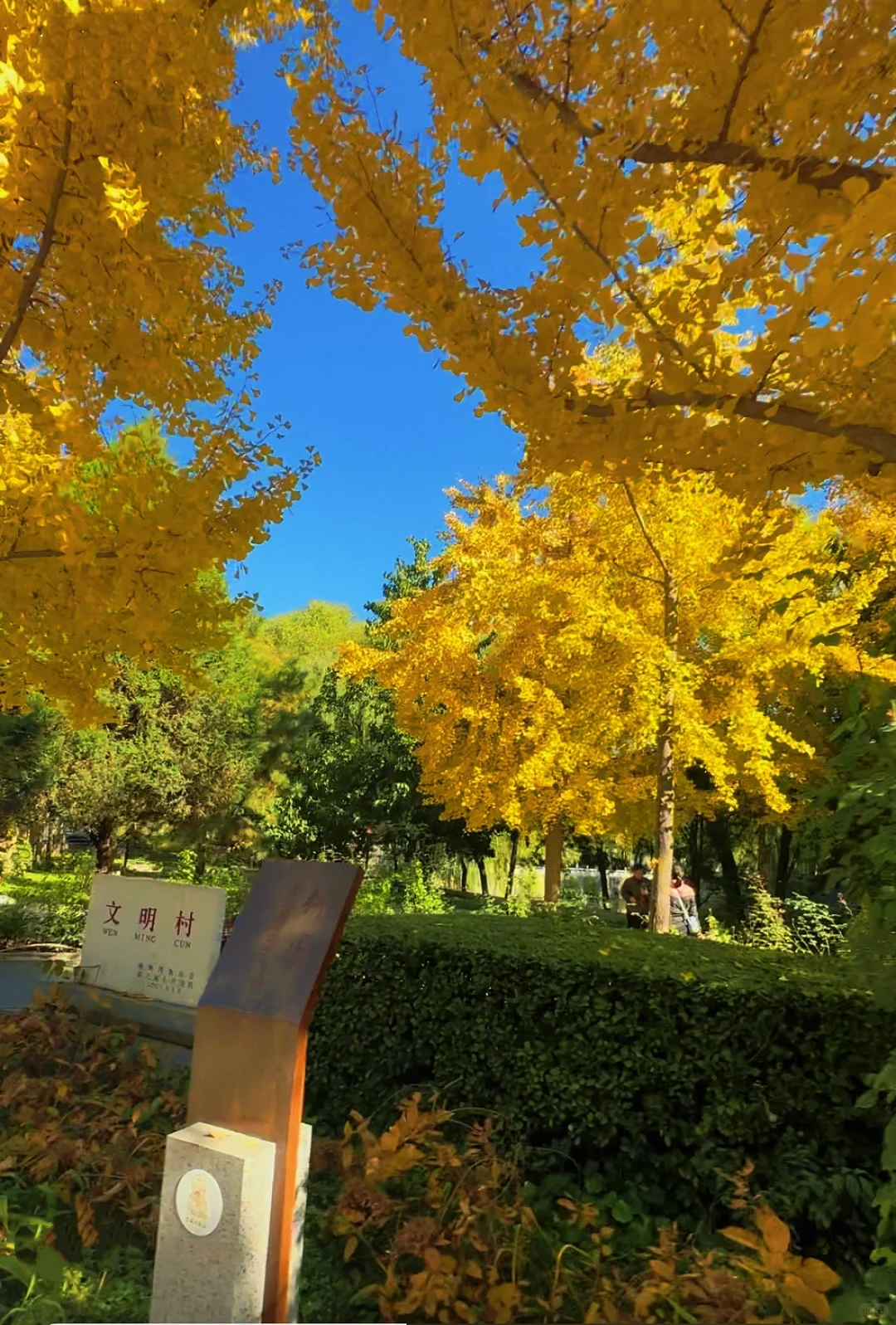 保定赏秋地图｜5个绝美打卡地