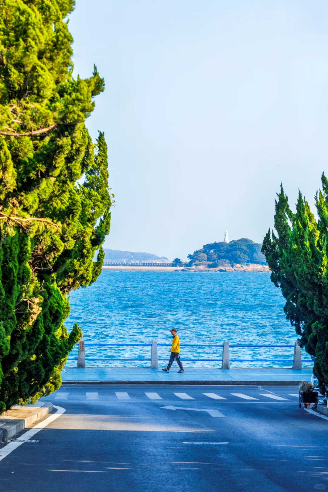 11月旅行✈️淡季青岛是人间理想🌊保姆级攻略