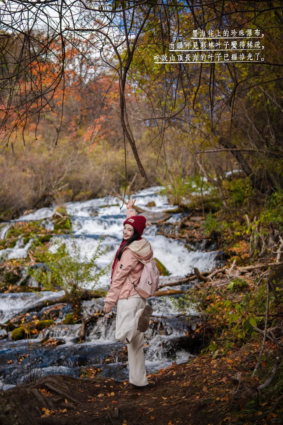 11月必冲❗️松坪沟彩林杀疯了🍂错过等一年