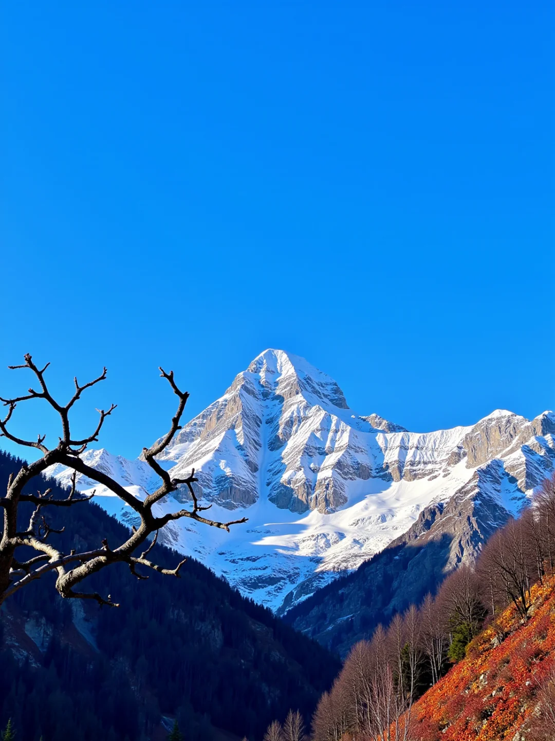 人生建议：10月～12月一定要来一次稻城亚丁