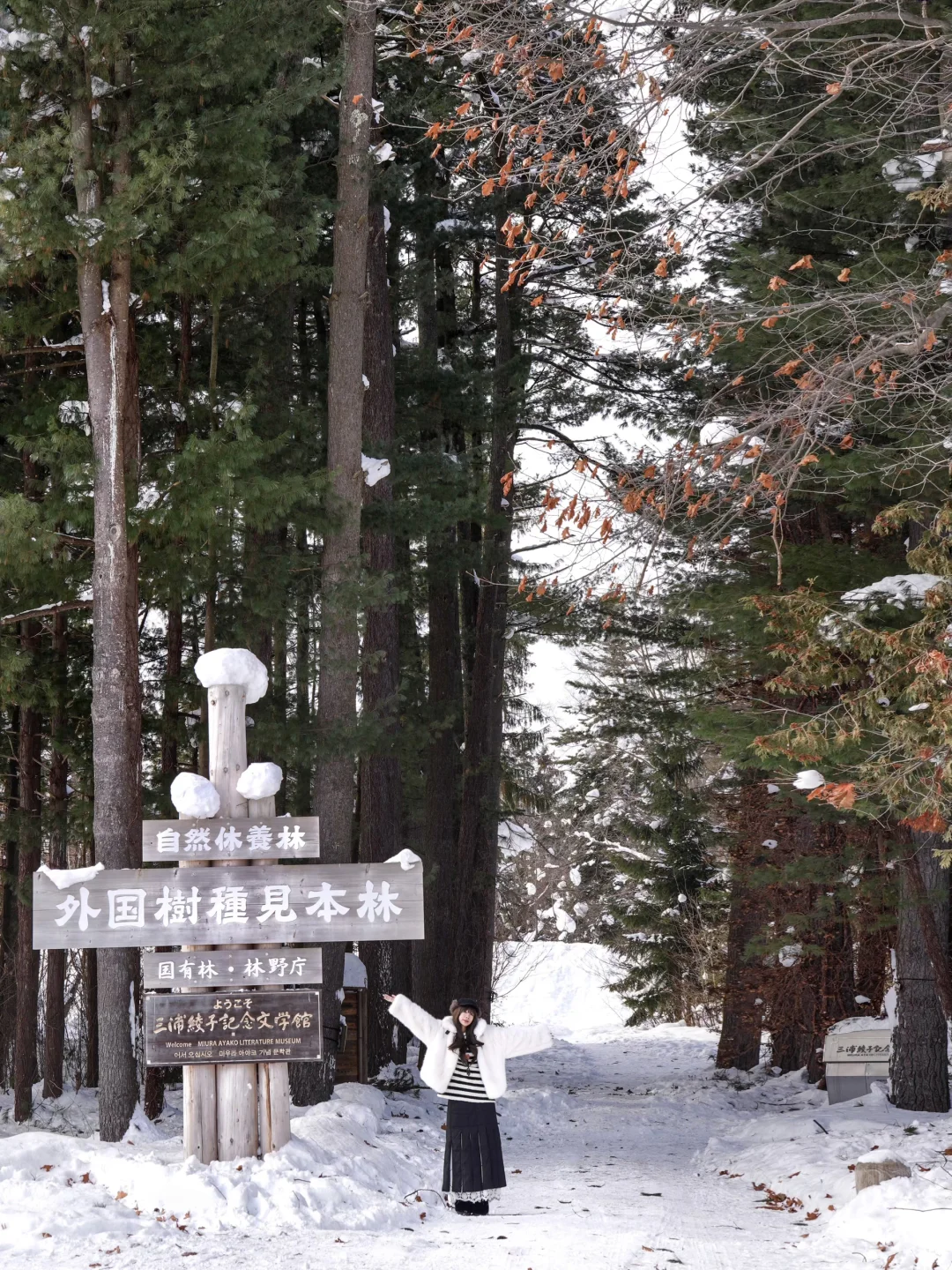 谁懂！！对自己的北海道攻略满意到睡不着！