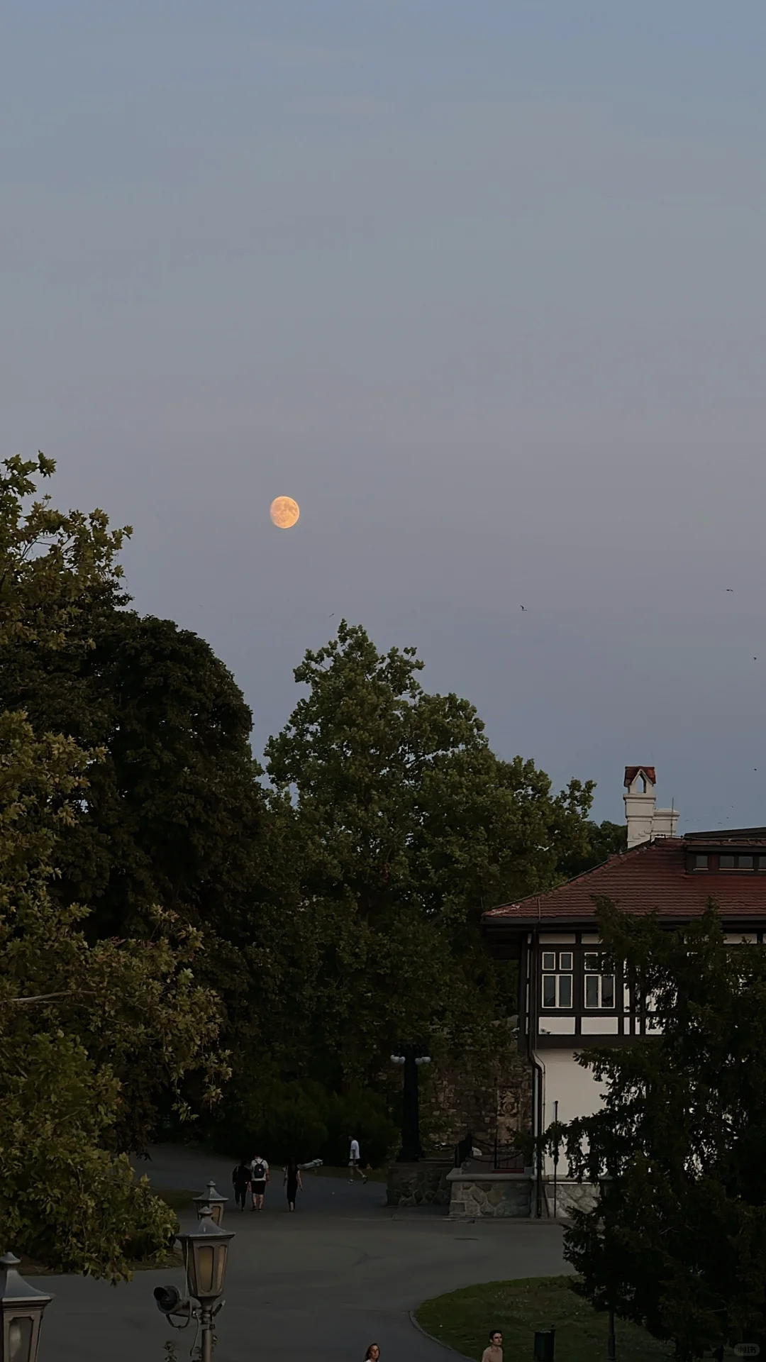 2025.8.6来自贝尔格莱德的日落🌄