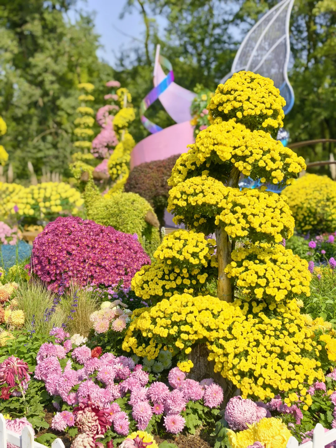 共青森林公园菊花展赏玩全攻略