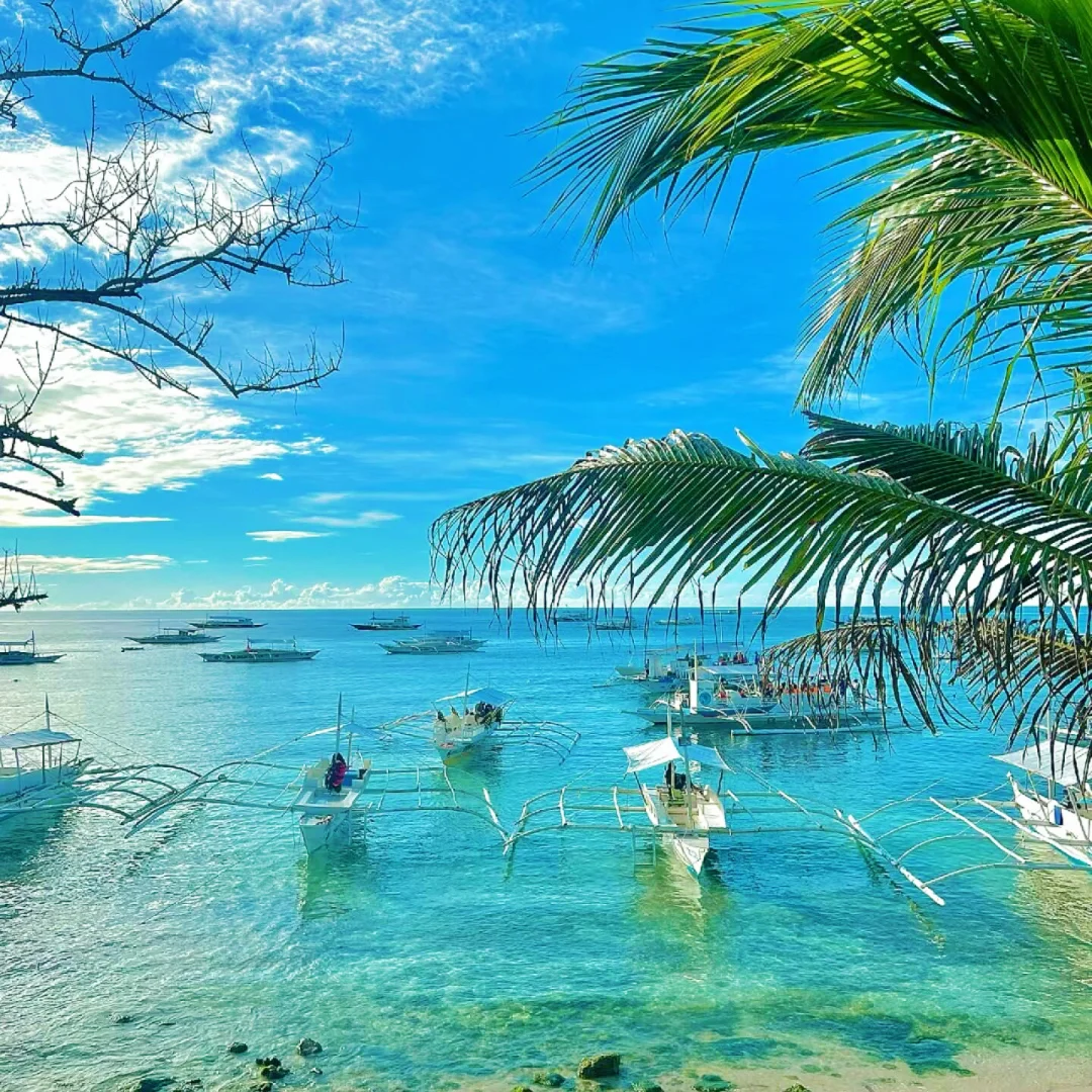 人生建议：一生一定要去一次的海岛🏝️薄荷岛