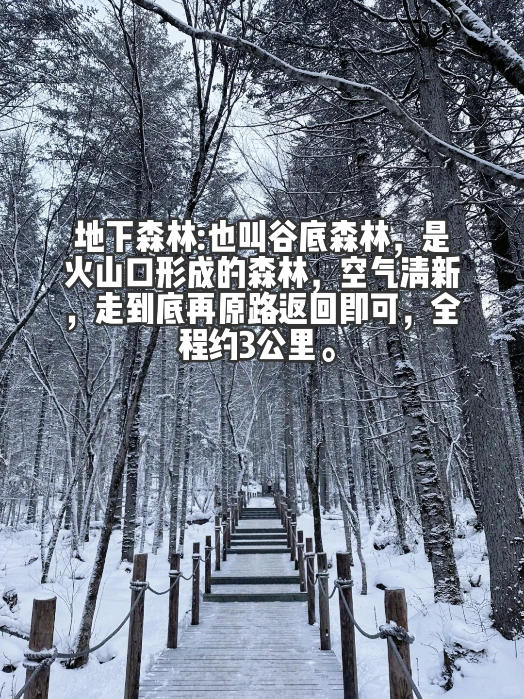 没有攻略的长白山北景区你玩过吗