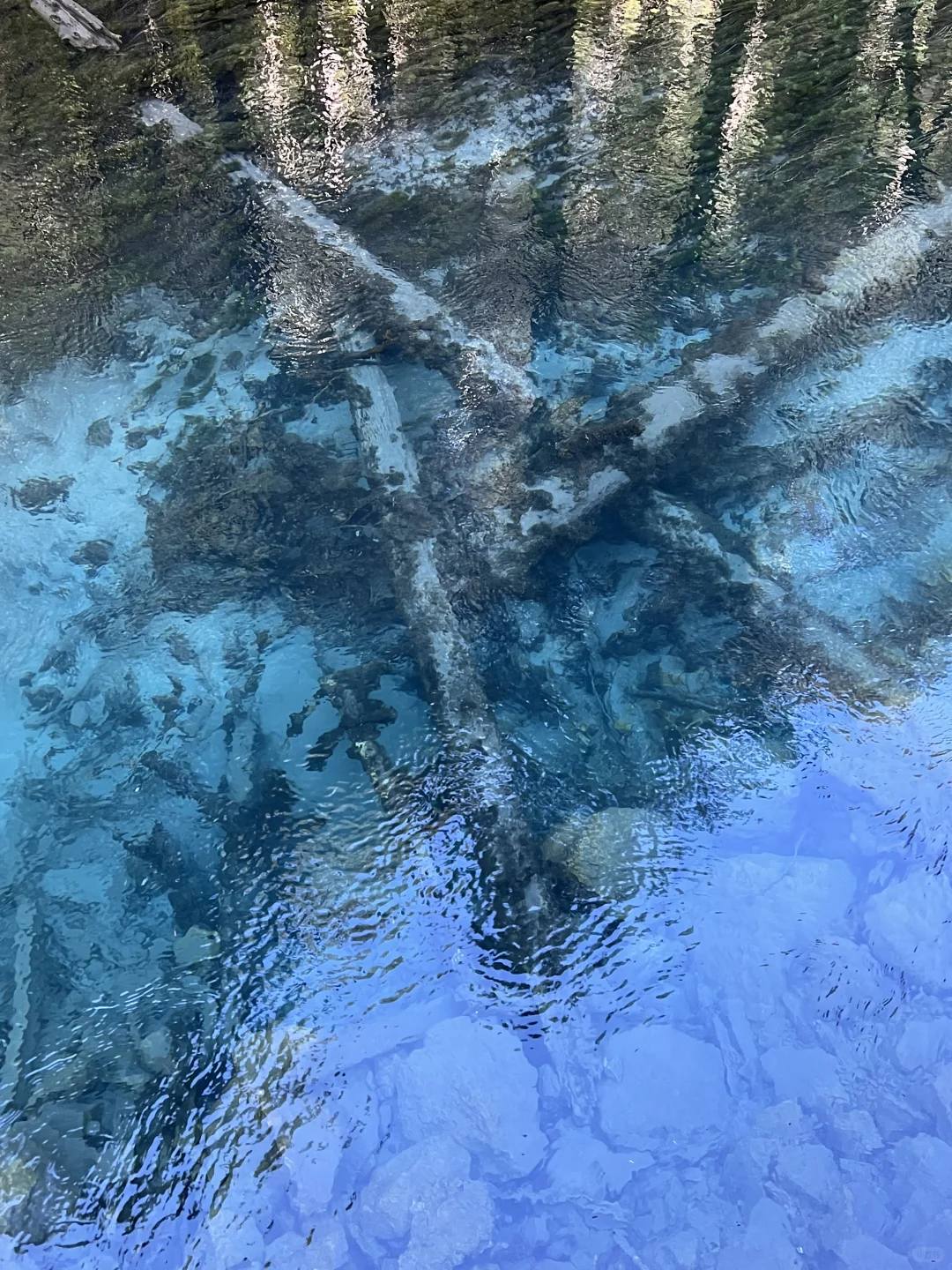 11.4九寨沟很美 但此生不会再去第二次🍂