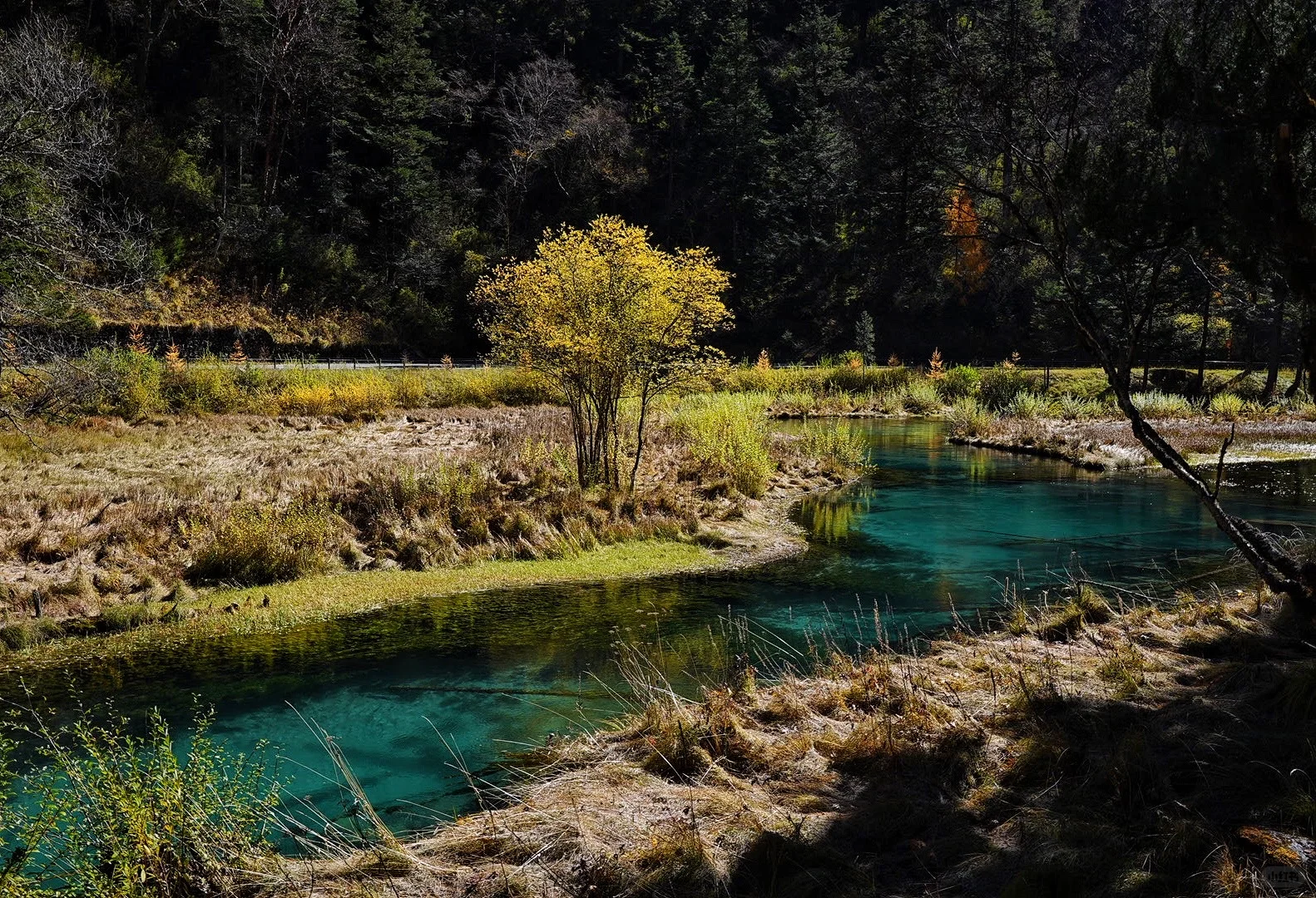 其实玩好九寨沟的精髓是松弛