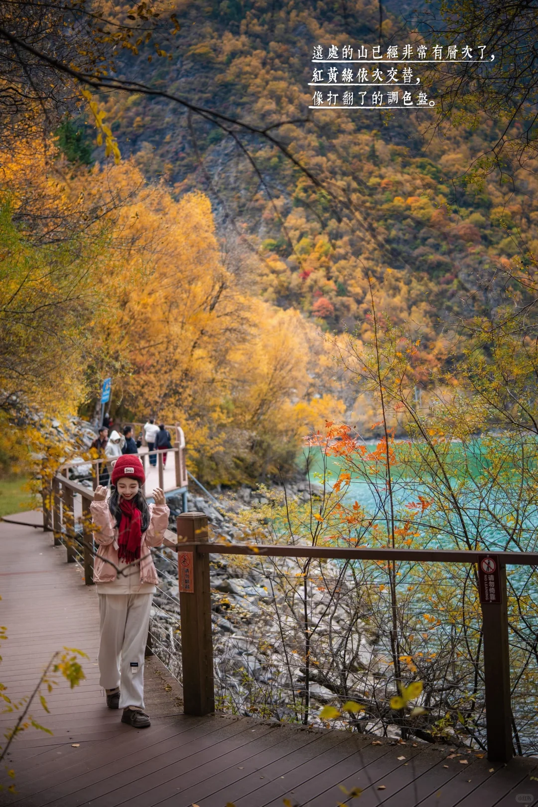 11月必冲❗️松坪沟彩林杀疯了🍂错过等一年