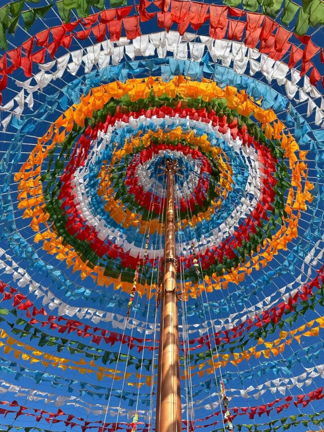 云南8天纯玩躺平游✅闺蜜求着要线路🔥