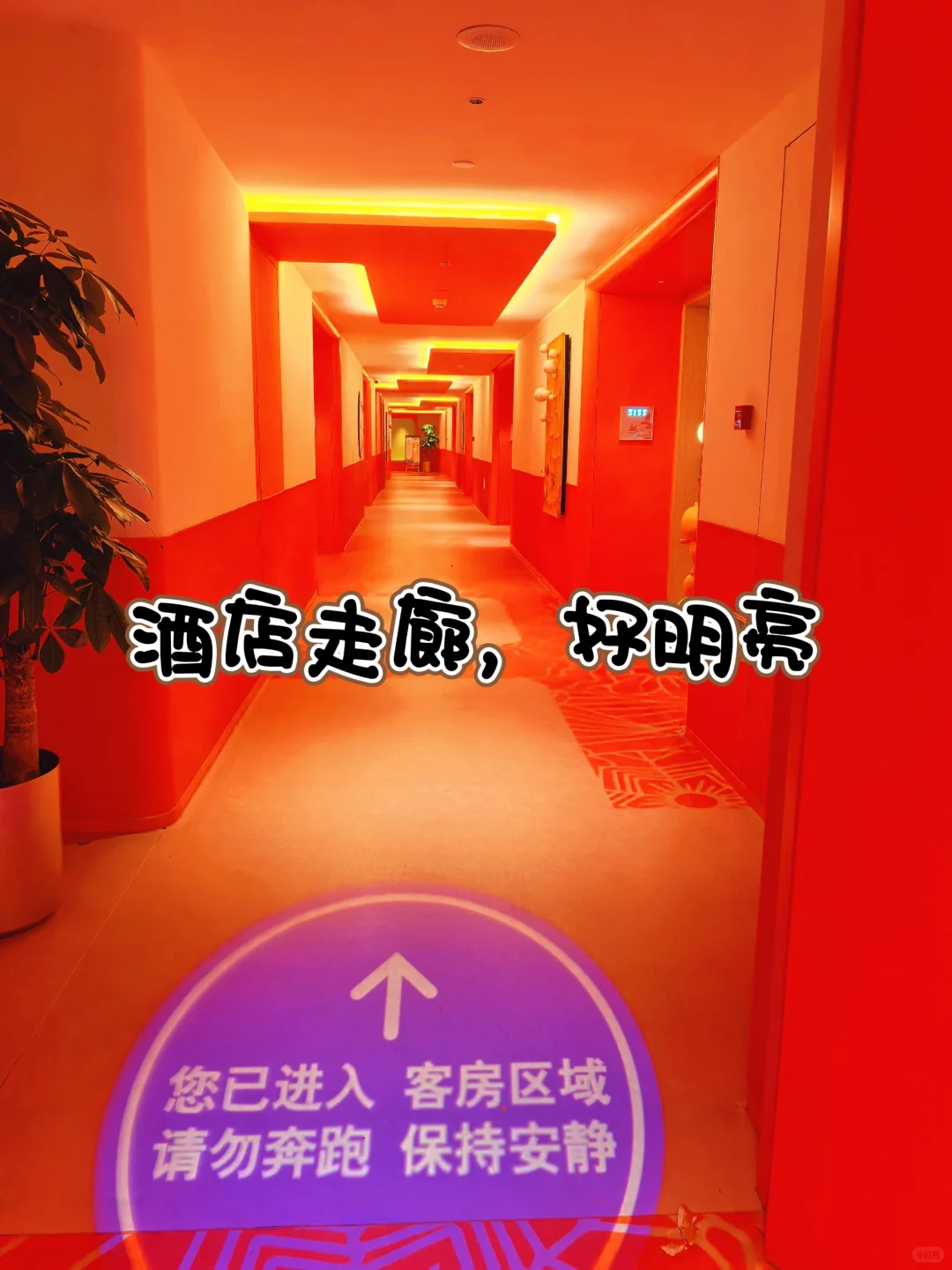 ❄️冬季亲子必打卡 | 附详细攻略🔥