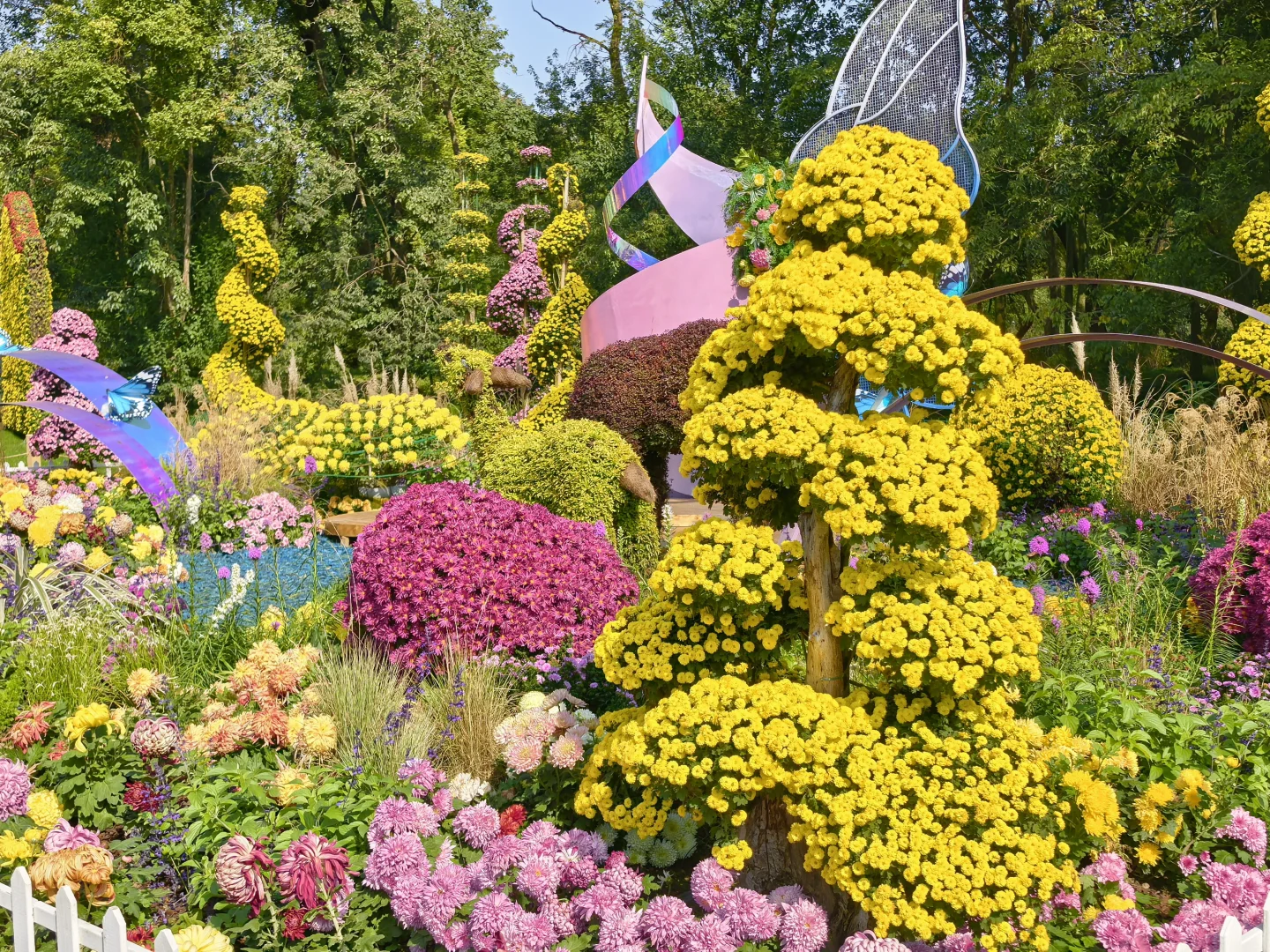 共青森林公园菊花展赏玩全攻略